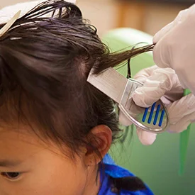 Comb out treatment for head lice